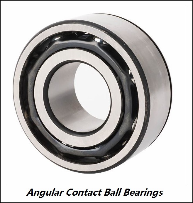 2.559 Inch | 65 Millimeter x 5.512 Inch | 140 Millimeter x 2.311 Inch | 58.7 Millimeter  INA 3313-2RSR-C3  Angular Contact Ball Bearings