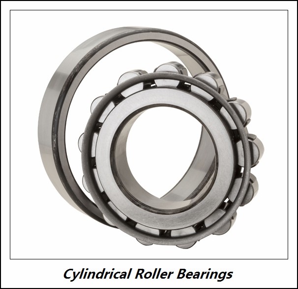 1.772 Inch | 45 Millimeter x 3.937 Inch | 100 Millimeter x 1.417 Inch | 36 Millimeter  CONSOLIDATED BEARING NU-2309E-K  Cylindrical Roller Bearings