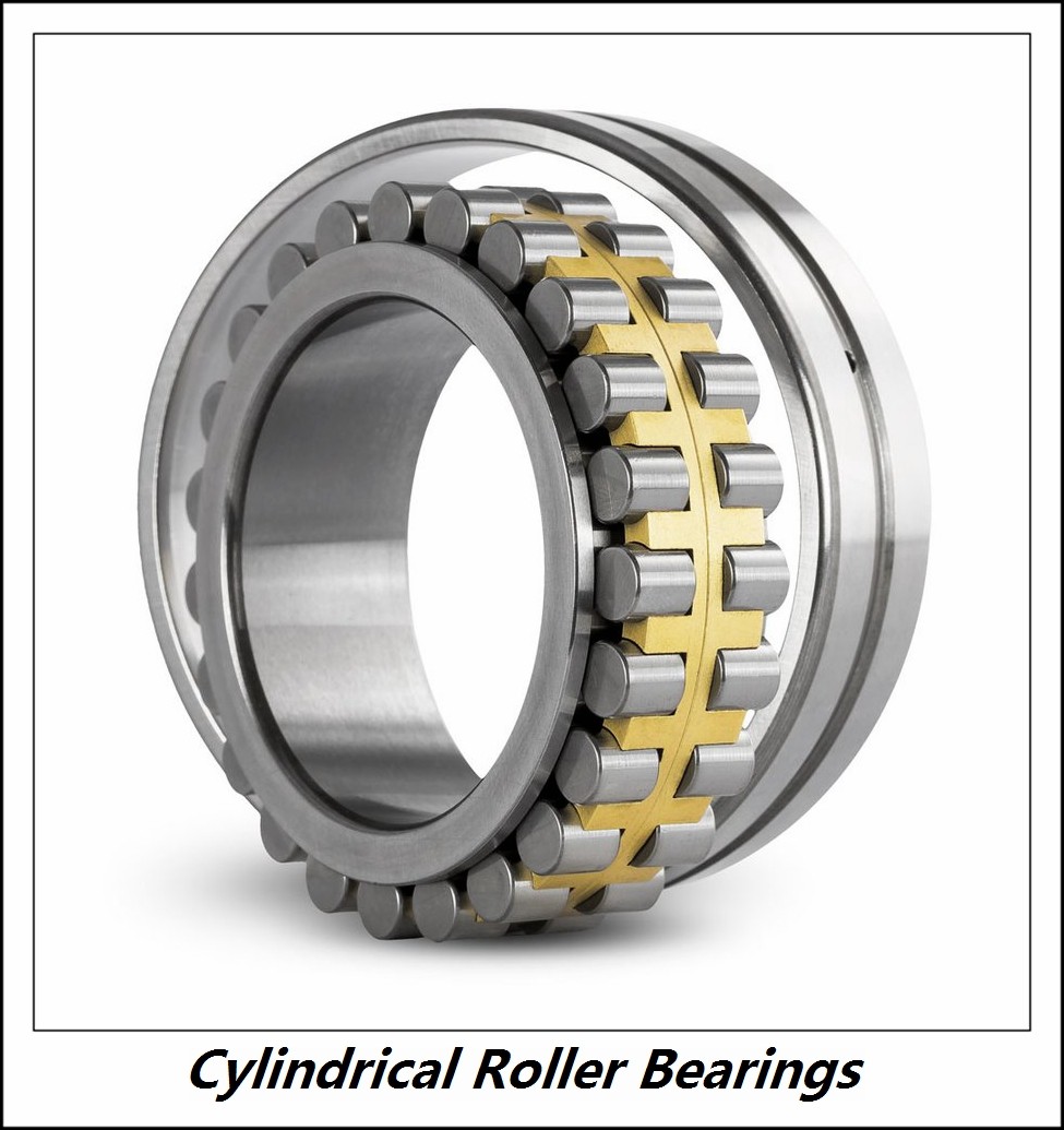 2.165 Inch | 55 Millimeter x 4.724 Inch | 120 Millimeter x 1.142 Inch | 29 Millimeter  CONSOLIDATED BEARING N-311E C/3  Cylindrical Roller Bearings