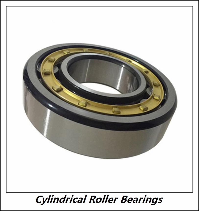 0.984 Inch | 25 Millimeter x 2.047 Inch | 52 Millimeter x 0.709 Inch | 18 Millimeter  CONSOLIDATED BEARING NJ-2205E  Cylindrical Roller Bearings
