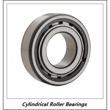 0.984 Inch | 25 Millimeter x 2.047 Inch | 52 Millimeter x 0.709 Inch | 18 Millimeter  CONSOLIDATED BEARING NJ-2205 M  Cylindrical Roller Bearings