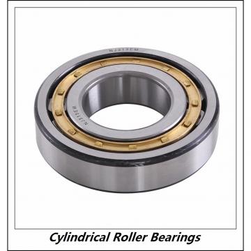 0.787 Inch | 20 Millimeter x 1.85 Inch | 47 Millimeter x 0.709 Inch | 18 Millimeter  CONSOLIDATED BEARING NJ-2204E C/4  Cylindrical Roller Bearings