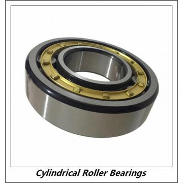 3.15 Inch | 80 Millimeter x 6.693 Inch | 170 Millimeter x 1.535 Inch | 39 Millimeter  CONSOLIDATED BEARING NU-316E  Cylindrical Roller Bearings