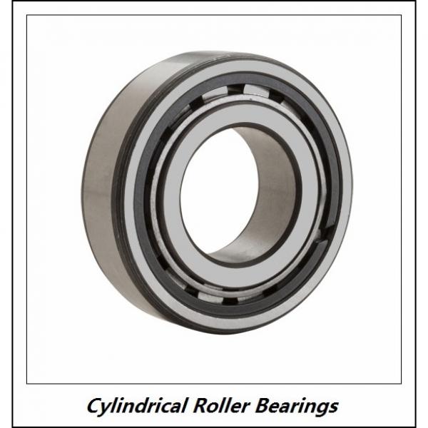 1 Inch | 25.4 Millimeter x 2.5 Inch | 63.5 Millimeter x 0.75 Inch | 19.05 Millimeter  RHP BEARING MMRJ1J  Cylindrical Roller Bearings #1 image