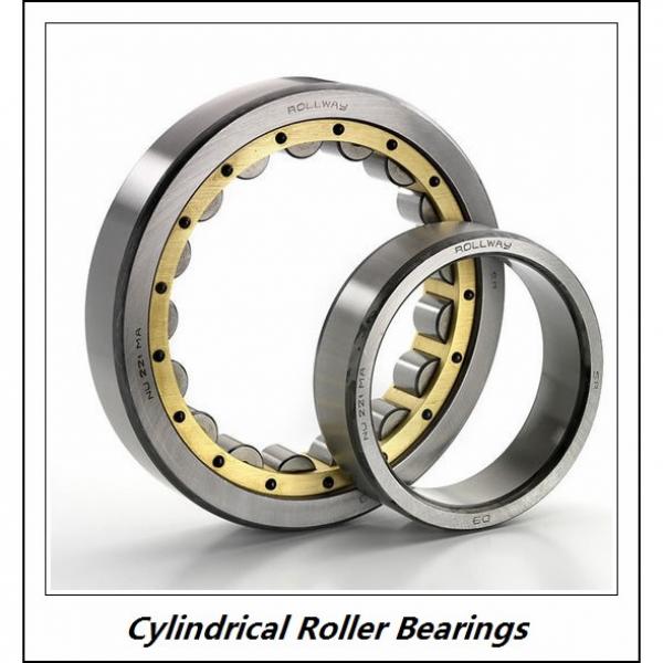 0.787 Inch | 20 Millimeter x 1.85 Inch | 47 Millimeter x 0.709 Inch | 18 Millimeter  CONSOLIDATED BEARING NJ-2204E C/3  Cylindrical Roller Bearings #2 image