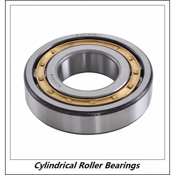 0.787 Inch | 20 Millimeter x 1.85 Inch | 47 Millimeter x 0.709 Inch | 18 Millimeter  CONSOLIDATED BEARING NJ-2204E M C/3  Cylindrical Roller Bearings #1 image