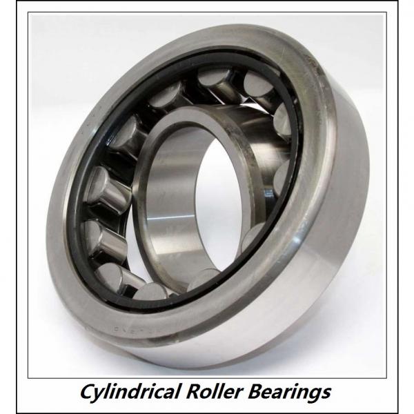 0.787 Inch | 20 Millimeter x 1.85 Inch | 47 Millimeter x 0.709 Inch | 18 Millimeter  CONSOLIDATED BEARING NJ-2204 M C/4  Cylindrical Roller Bearings #4 image